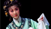 西园记 自从与君见一面