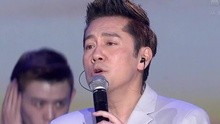 蔡国庆 - 绒花+传奇+再回首