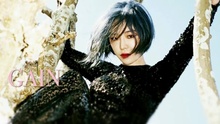 孙佳仁 - Paradise Lost