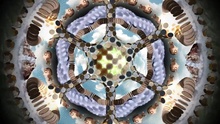 Occupy