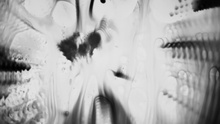 Nils Frahm - Says