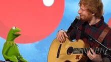 The Rainbow Connection RedNoseDay现场版 2015