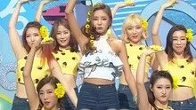 Honey Summer 现场版