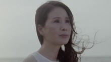 野马