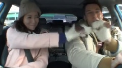 MBC我们结婚了