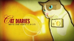 猫咪日记