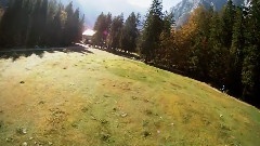 The Slovenia Experience