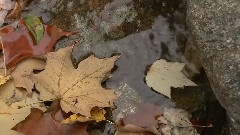 世界上最美丽的地方1