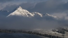 Beautiful Natural World