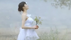 绿野仙踪