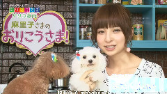 麻裡子大人的聰明學堂