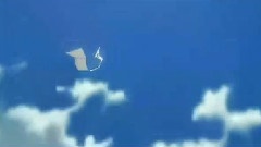 呼唤君之名