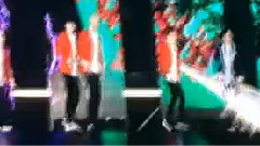 Wolf & Growl & Lucky & End