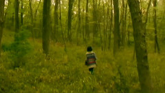 Don't Cry,Forest Boy