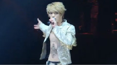 Luvholic