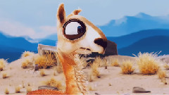 Gran Dillama