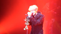 Rotte Love & Kiss B