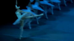The Variations Of The White Swan Yulia Stepanova debut