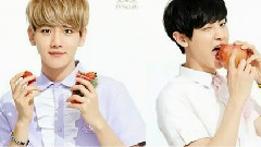 Never Had A Dream Come True