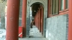 名寺古刹 北京法源寺