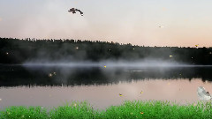 Wonders Of Life