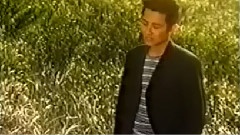 飞