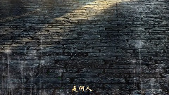 彭丽媛 - 二泉映月