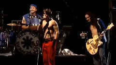 Havana Affair