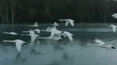 春风祭