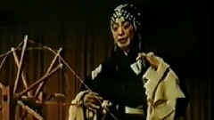 仙姿香韵领群芳