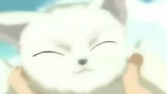 瞳のこたえ