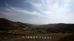 唱花儿的花儿