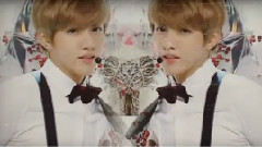 Young And Beautiful