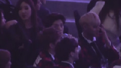 你叫什么名字 观赏