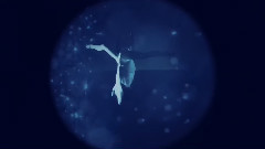 Cygnus