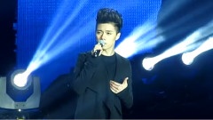 只是太爱你