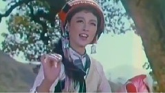 影视原声 - 长湖水 清又凉