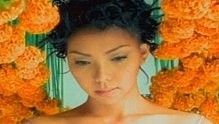 张惠妹《I don't want to talk about it》 高清官方版