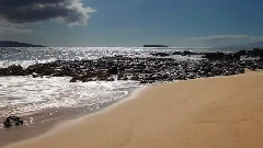 Thalassa