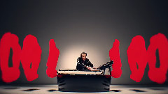 Дельфины