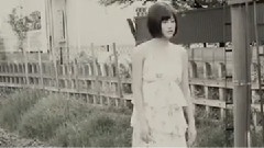 桜の花びら