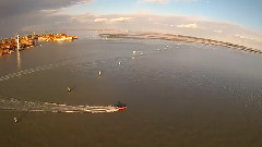 Wings Over Venezia