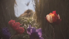 As Long As You Watch My Heart