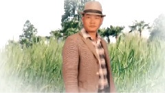 没有你伤心