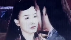 侠骨柔情
