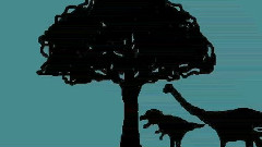 あしたの种