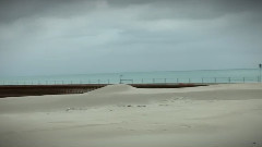 Edgewater Montage