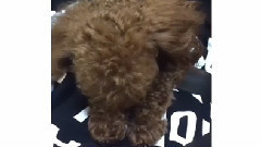 金孝渊Instagram 更新Cut