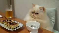 Garfield's Japanese Cousin