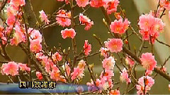 四川欢迎你